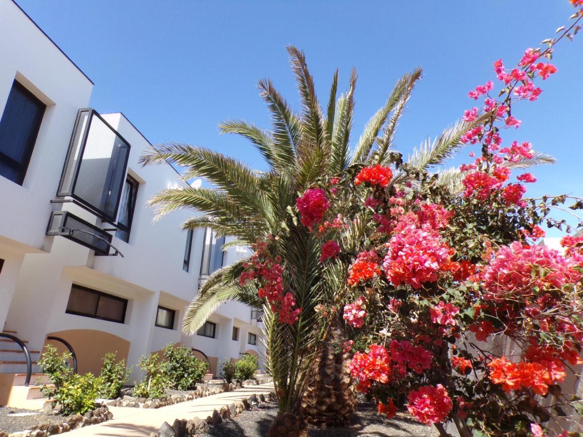 קוסטה דה אנטיגואה Amaya Ocean View Apartment מראה חיצוני תמונה